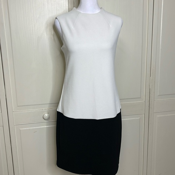 METAPHOR Women's White and Black Color Block Sleeveless Shift Dress Size 6 - Picture 1 of 8